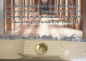 Preview: Wool broom
