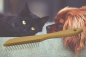 Preview: Tierkamm