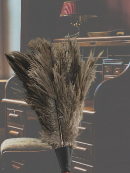 featherduster