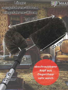 Staubbiene Ziegenhaar