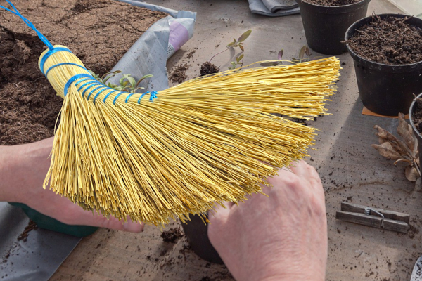Handbrosse