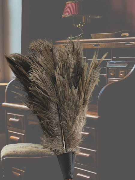 featherduster